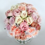 3. Facsination Roses_2